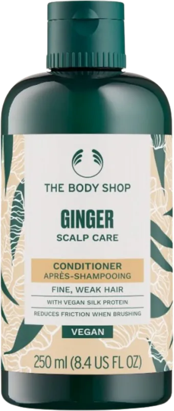 Expressversand Conditioner Ginger