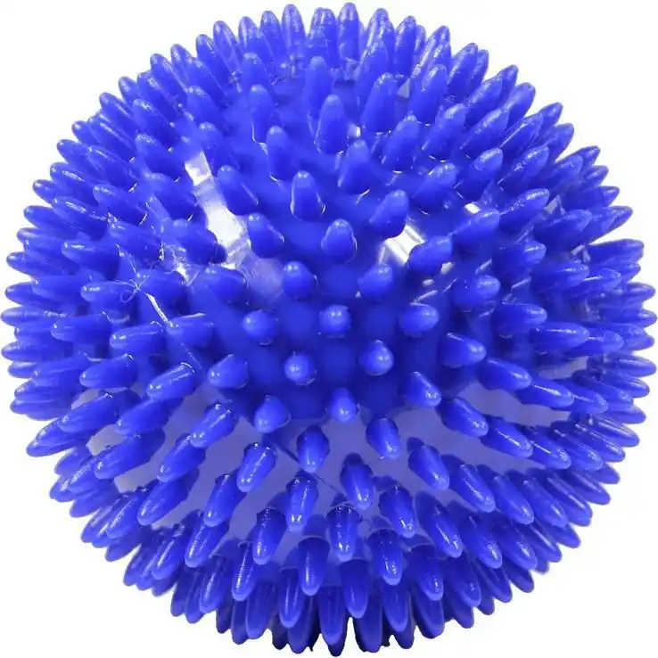 Jetzt Kaufen Massageball Igelball 10 cm lose, 1 St