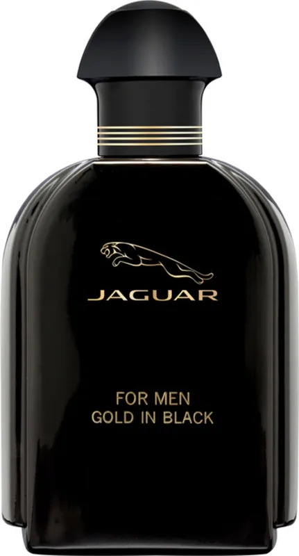 for men Gold in Black Eau de Toilette Natural Spray Ausverkauf