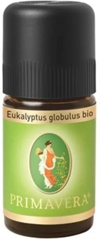 Eukalyptus globulus bio Expressversand