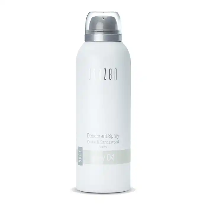 Janzen Deodorant Spray Grey 04 - 150ml Top-Preis