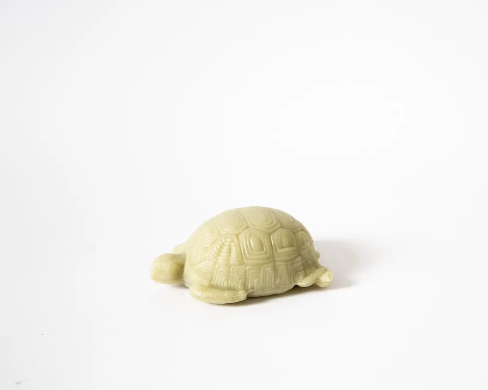 Schneller Versand Savon du Midi Seife in Schildkröten Form mit Lemongras-Öl 50g COSMOS ORGANIC 8 x 50g